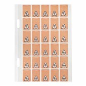 Coding Labels