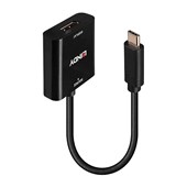 Lindy USB C to DP Converter