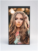 Mitsumaru 2500nit Portrait Only Window Signage Display 55